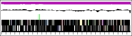 ATCV-1 genome