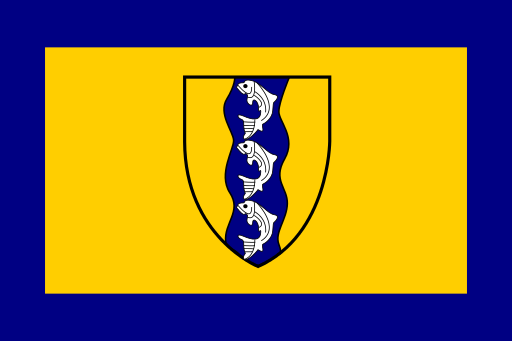 Richmond flag